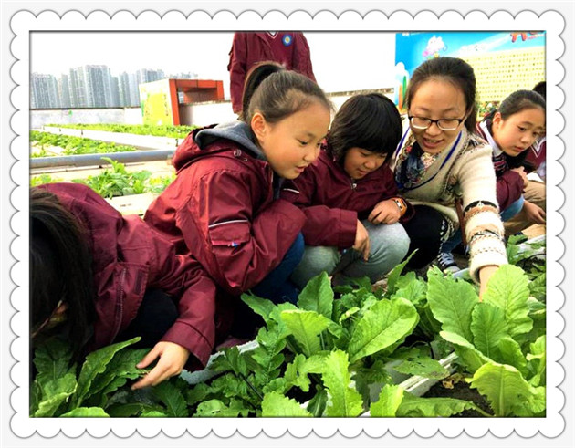 耕耘开心农场 争当幸福农夫_校园新闻_绵阳中学英才学校-小学部